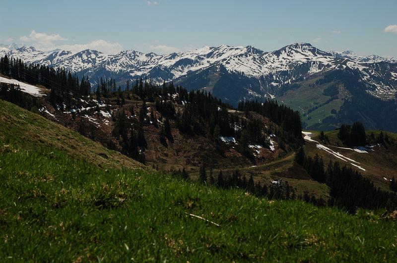 DSC_8098