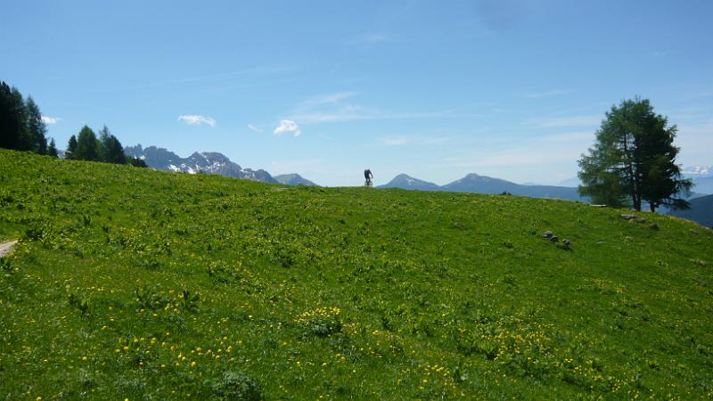 P1010822_AUSSCHNITT